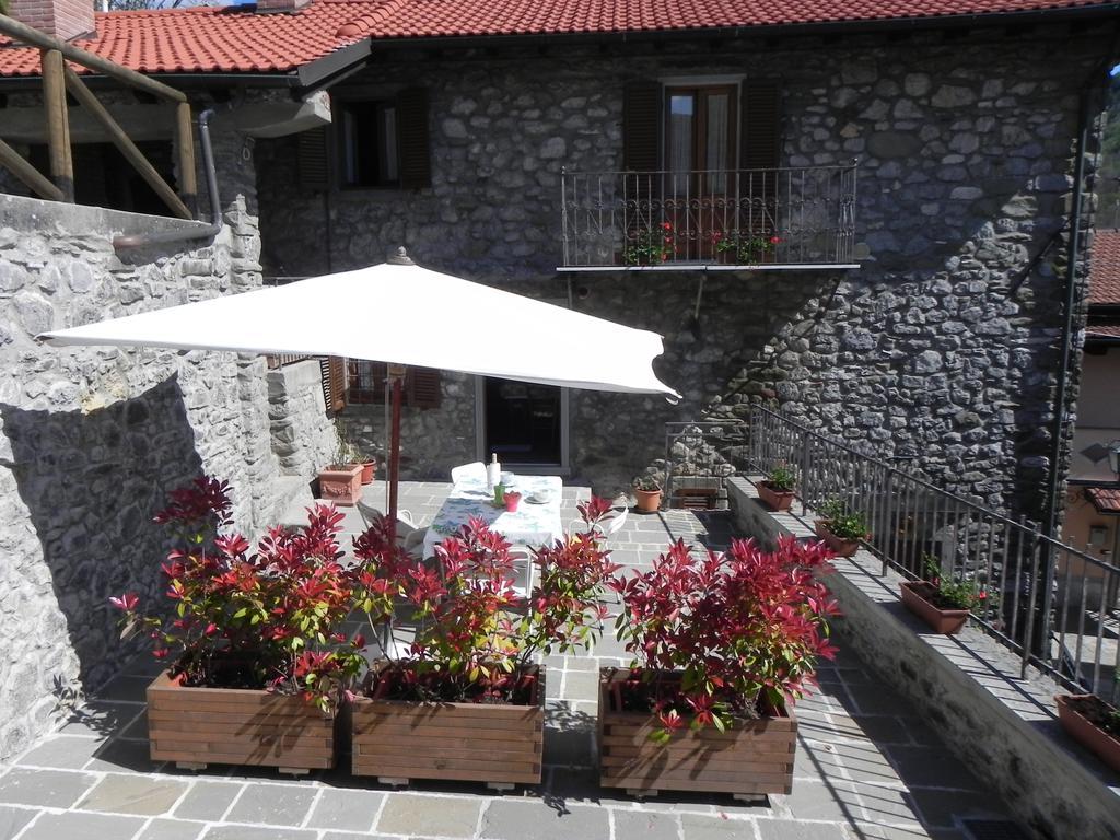 Agriturismo La Calamaia Gorfigliano الغرفة الصورة